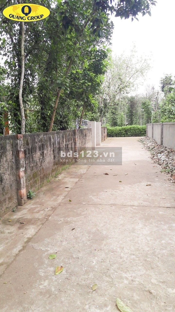 Bán nhanh lô đất thị trấn cửa tùng, khu dân cư đông đúc, giá tốt đầu tư