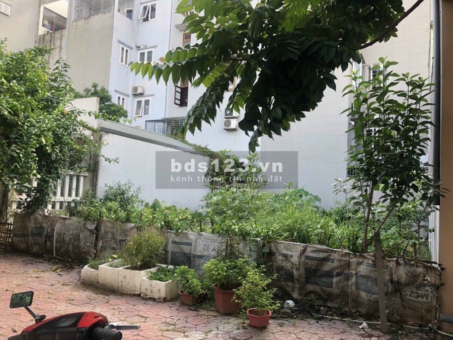 Bán nhà vườn Tuệ Tĩnh, TP HD, Lô NV1.28, 110.4m2, mt 8m, hướng đông, gần đường Tuệ Tĩnh