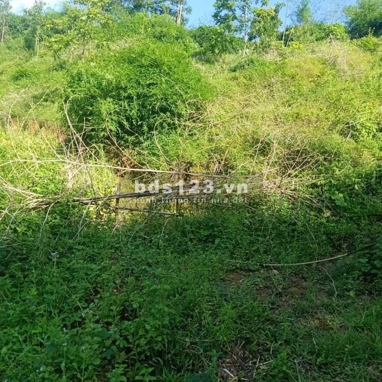 Hơn 2,5ha đât rsx thuộc tiến sơn Lương Sơn, giá bán thoả thuận chính chủ