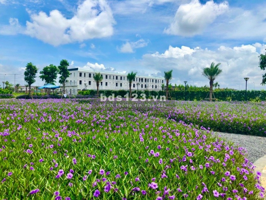 Bán đất nền dự án THE SOI CITY cạnh chợ Hưng Long,Bình Chánh, sở hữu dễ dàng chỉ từ 600tr