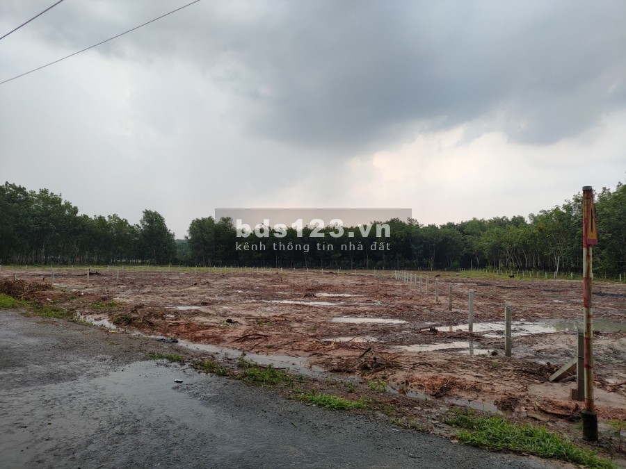 Đất chưa thổ cư, đầu tư giá tốt An Lập, Dầu Tiếng, giá bán 140 triệu/m2, sổ đẹp