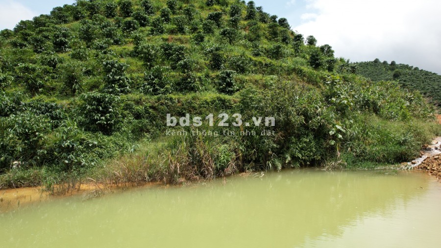 Đất mặt tiền đường view đồi Xã Đại Lào thành phố Bảo Lộc, vị trí đắc địa