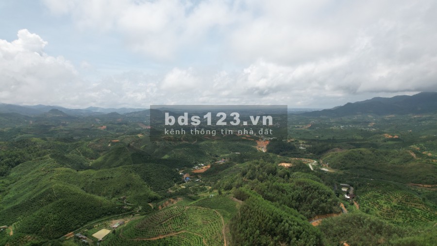 Đất mặt tiền đường view đồi Xã Đại Lào thành phố Bảo Lộc, vị trí đắc địa