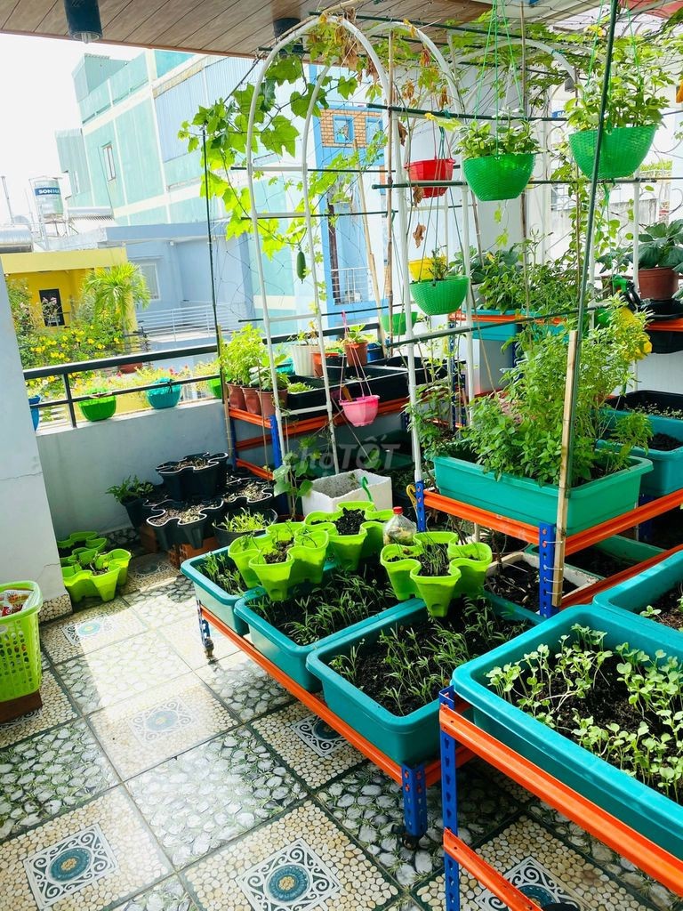 Chính chủ bán nhà ở đường Khuông Việt, Quận Tân Phú Siêu đẹp, giá cực hấp dẫn
