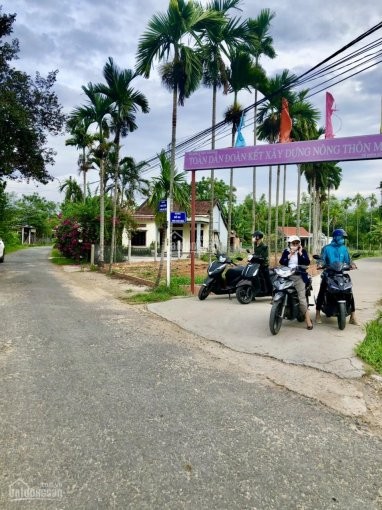Tôi chính chủ cần tiền bán gấp lô đất gần chợ Lệ Trạch Hòa Tiến giá rẻ 650tr lh 0934456484