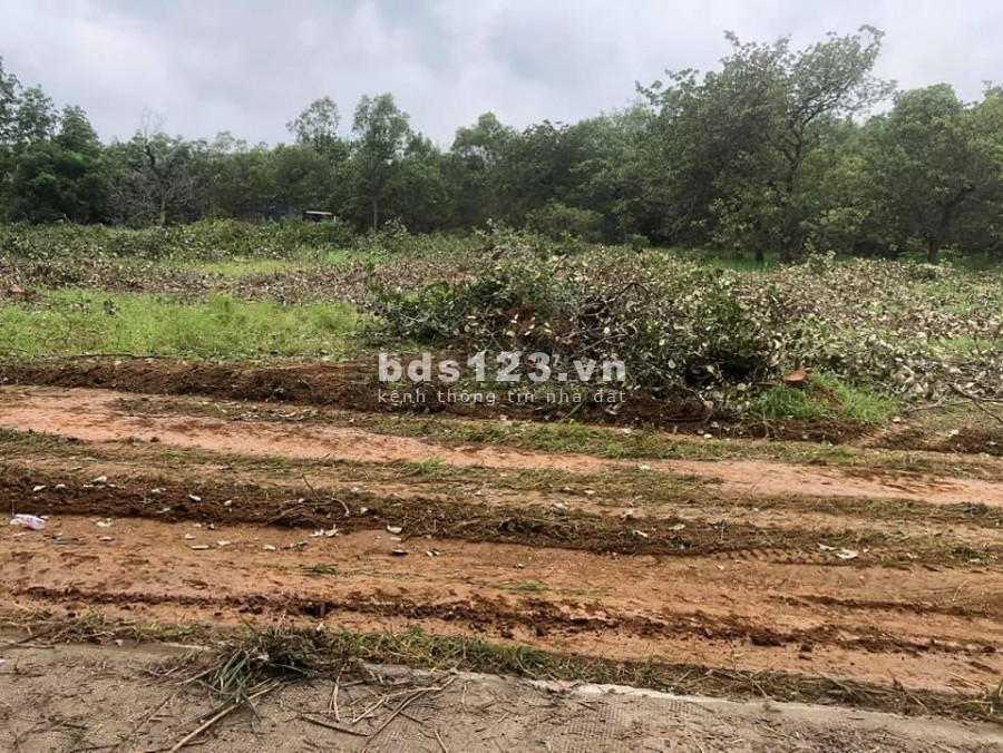 Đối Diện Cụm Công Nghiệp Định An Dầu Tiếng Bình Dương, giá thoả thuận, lh 0398454978