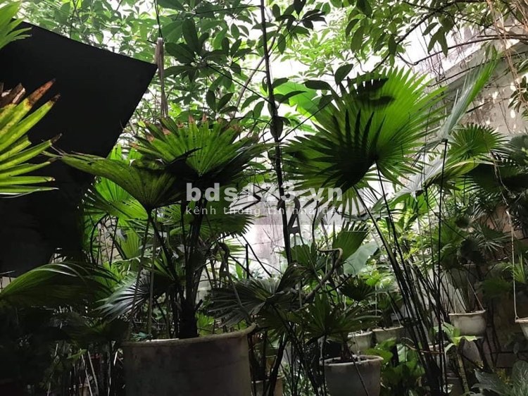BIỆT THỰ 3 TẦNG MINH KHAI - PHÂN LÔ - Ô TÔ VÀO NHÀ - NỞ HẬU .