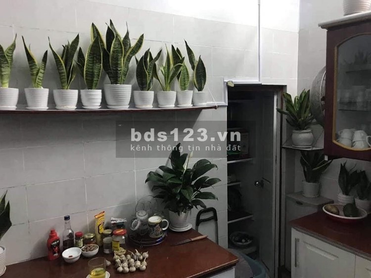 BIỆT THỰ 3 TẦNG MINH KHAI - PHÂN LÔ - Ô TÔ VÀO NHÀ - NỞ HẬU .