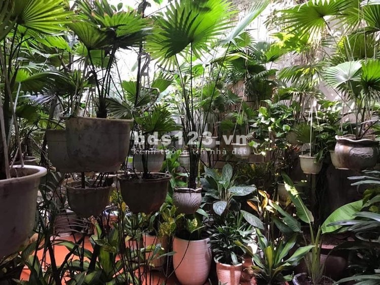 BIỆT THỰ 3 TẦNG MINH KHAI - PHÂN LÔ - Ô TÔ VÀO NHÀ - NỞ HẬU .