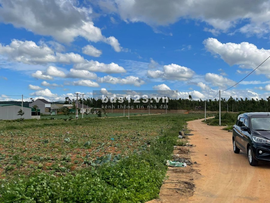 Đất nền Nam Ban 239m2, 599 triệu, đường oto quay đầu, nhìn toàn bộ đồi thông.