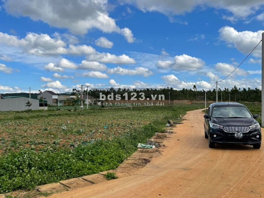 Đất nền Nam Ban 239m2, 599 triệu, đường oto quay đầu, nhìn toàn bộ đồi thông.