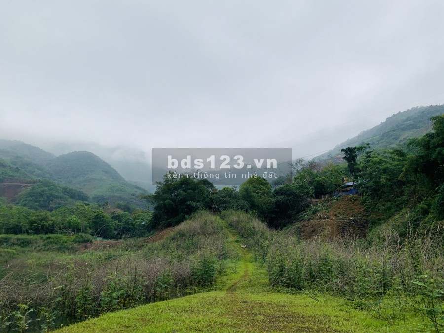 Bán đất diện tích sử dụng 1000m2 có 760m thổ cư bám hồ Đà Băc Hoà Bình