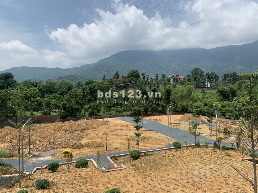 Bán 5 lô đất nền Bãi Dài vị trí đẹp suất ngoại giao, liên hệ 0833220396