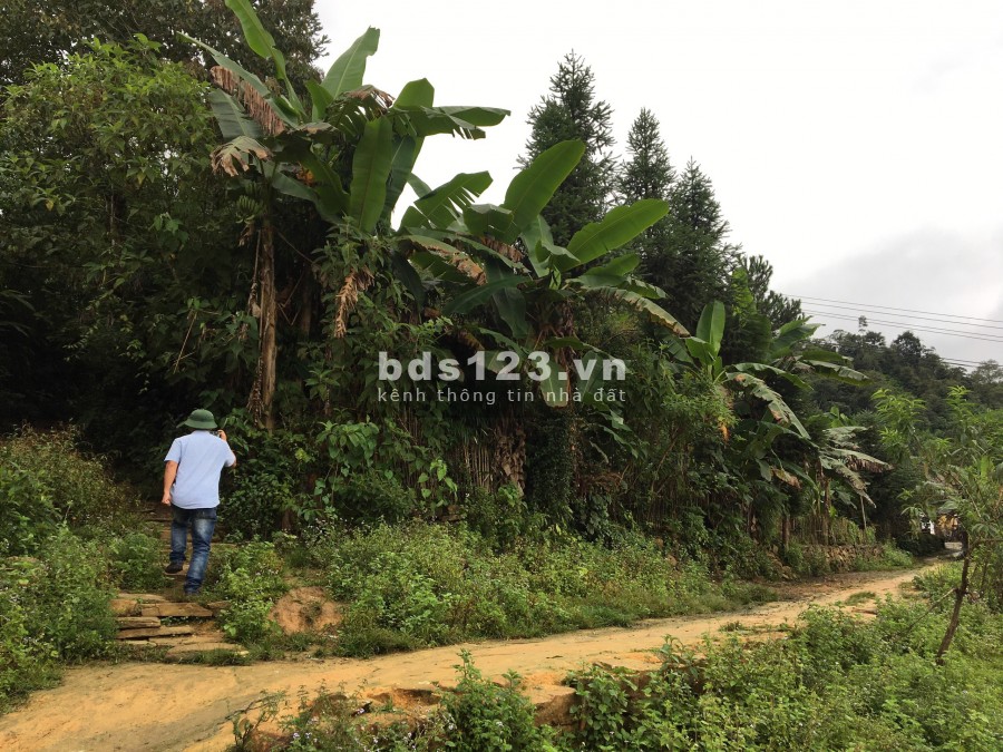 Đất Lao Chải- Sapa 2, View siêu đẹp, Có Nhà Trình Tường, sổ đỏ chính chủ