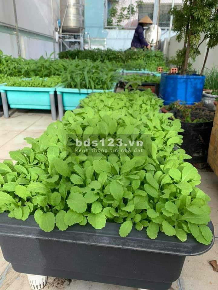 Bán nhà Trần Duy Hưng, gần phố, phân lô, lô góc, oto, dt 48m2, giá chỉ 5 tỷ.