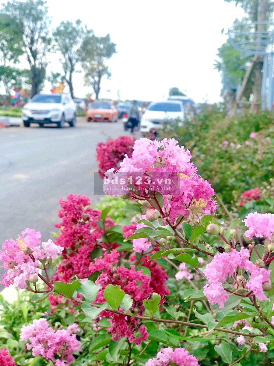Khu đô thị Lạc Hồng Phúc - Phố Nối cần bán đất giá siêu rẻ, lh 0829689698