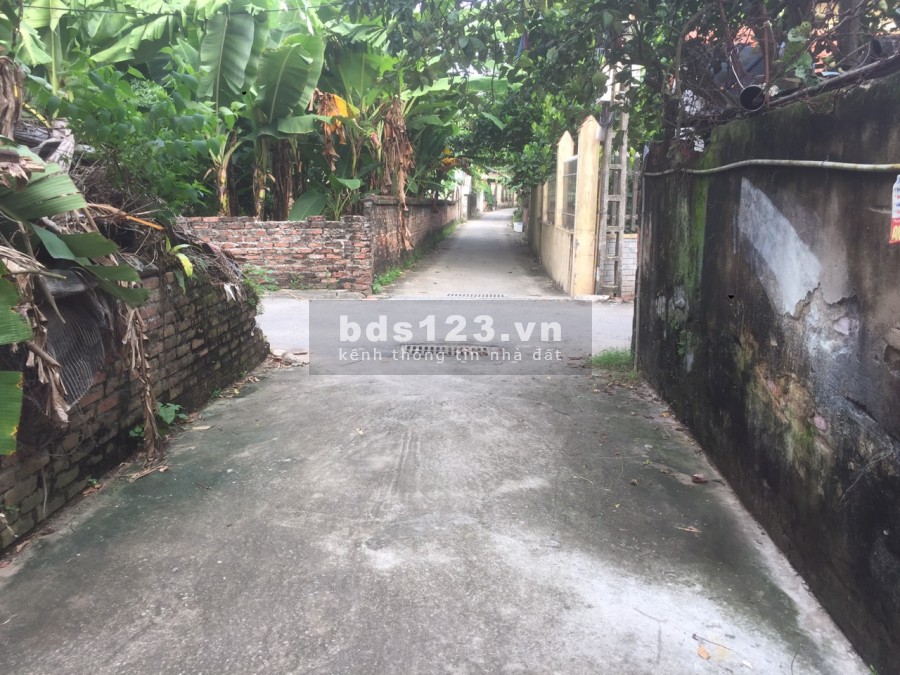 Cần tiền bán gấp 55m2 thổ cư, mt + hậu = 4m, đường oto tại Tình Quang, Giang Biên:0982269369