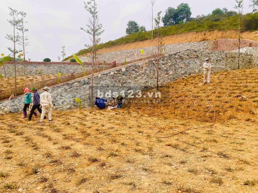 Đất nền Bãi Dài vừa ở vừa đầu tư, một vốn bốn lời giá chỉ từ 14 triệu/m2