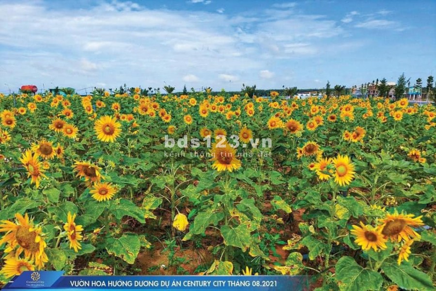 Đất Bình Sơn - Sân Bay Long Thành / Cam kết lợi nhuận 18%/năm