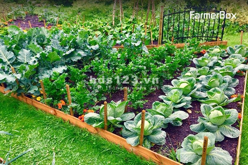 Đất xây nhà vườn đẹp gần UBND xã, chợ giá 1.55 tỷ, diện tích sử dụng 425m2