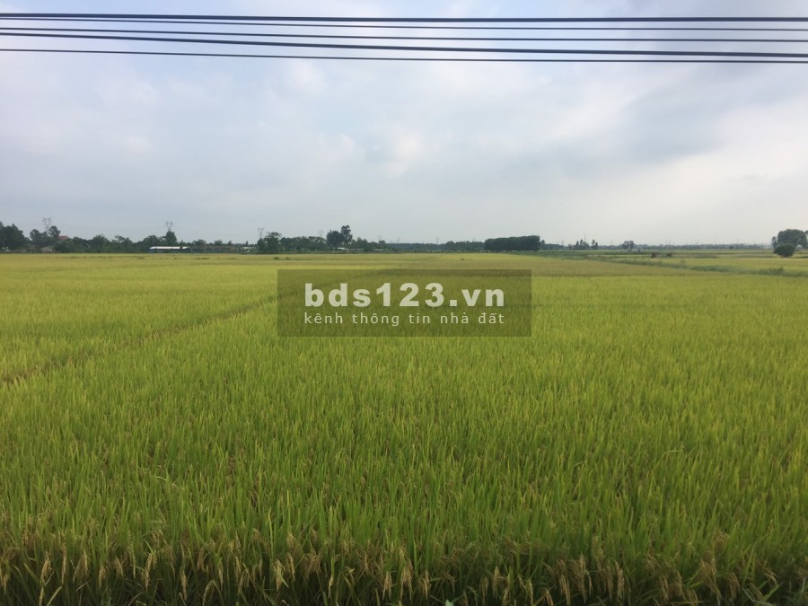 Bán đất nền xã Trạm Lộ Thuận Thành Bắc Ninh, liên hệ 0942271758