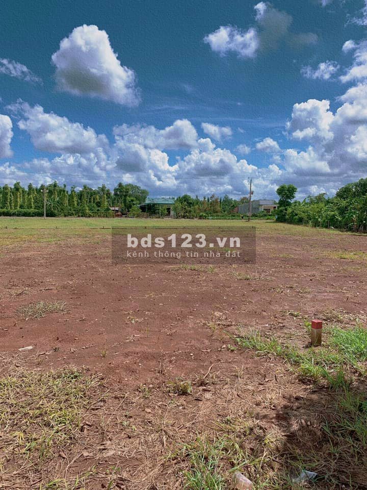 Đất Ngay trong Lòng Trung Tâm Thành Phố Đồng Xoài thanh toán 570 triệu nhận ngay đất