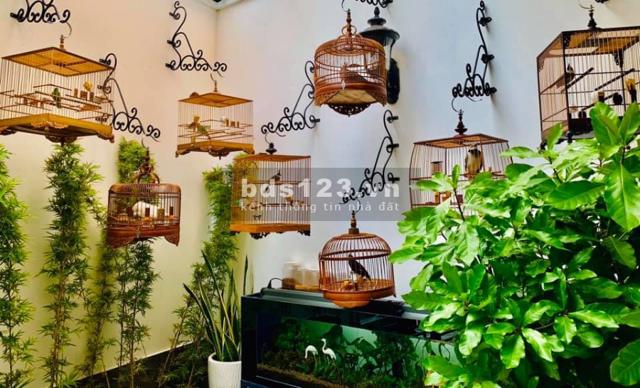 Mặt tiền nội bộ Cư Xá Lữ Gia, đường nhựa 12m, Quận 11, dt 7x7.5, giá chỉ 160tr/m2