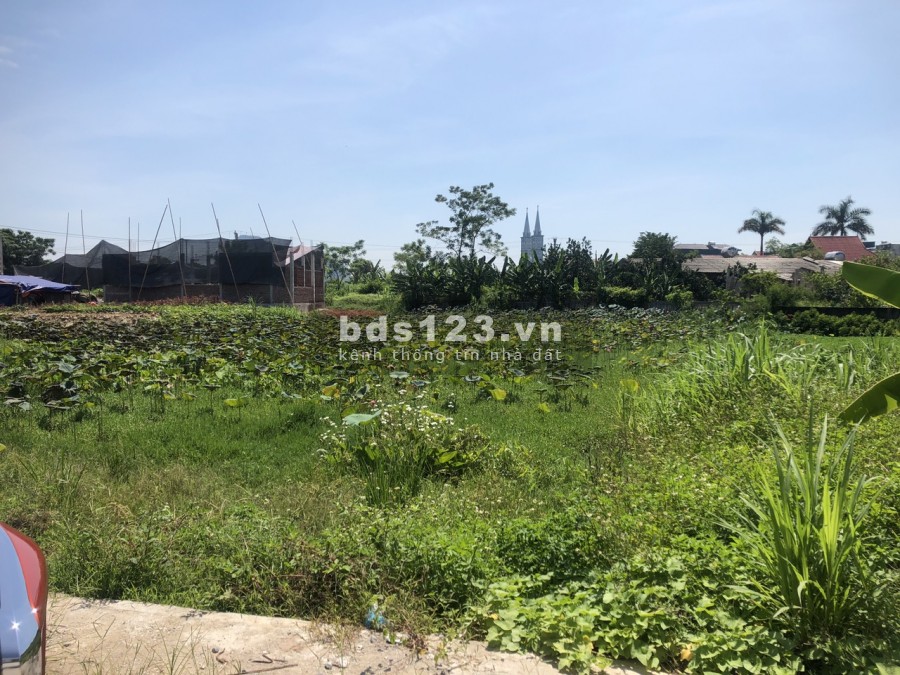 Chính chủ cần bán lô đất giá cực kì rẻ đầu tư có lời ngay ở trung tâm Xuân Bái