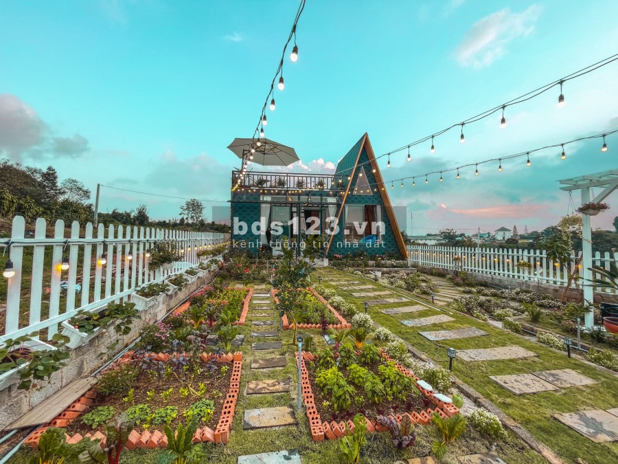 Nhà vườn nghĩ dưỡng Bảo Lộc Golden Lake view- tuyệt tác bên hồ, nơi lí tưởng để bản thân tận hương