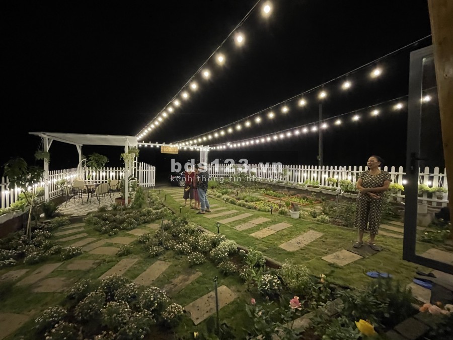 Nhà vườn nghĩ dưỡng Bảo Lộc Golden Lake view- tuyệt tác bên hồ, nơi lí tưởng để bản thân tận hương