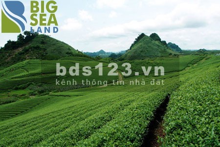 Cần bán lô đất diện tích sử dụng 143m2 tại Mộc Châu giá cực sốc, lhcc