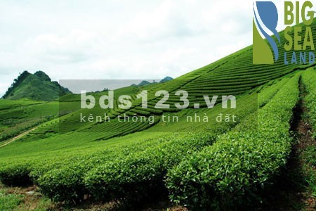 Cần bán lô đất diện tích sử dụng 143m2 tại Mộc Châu giá cực sốc, lhcc