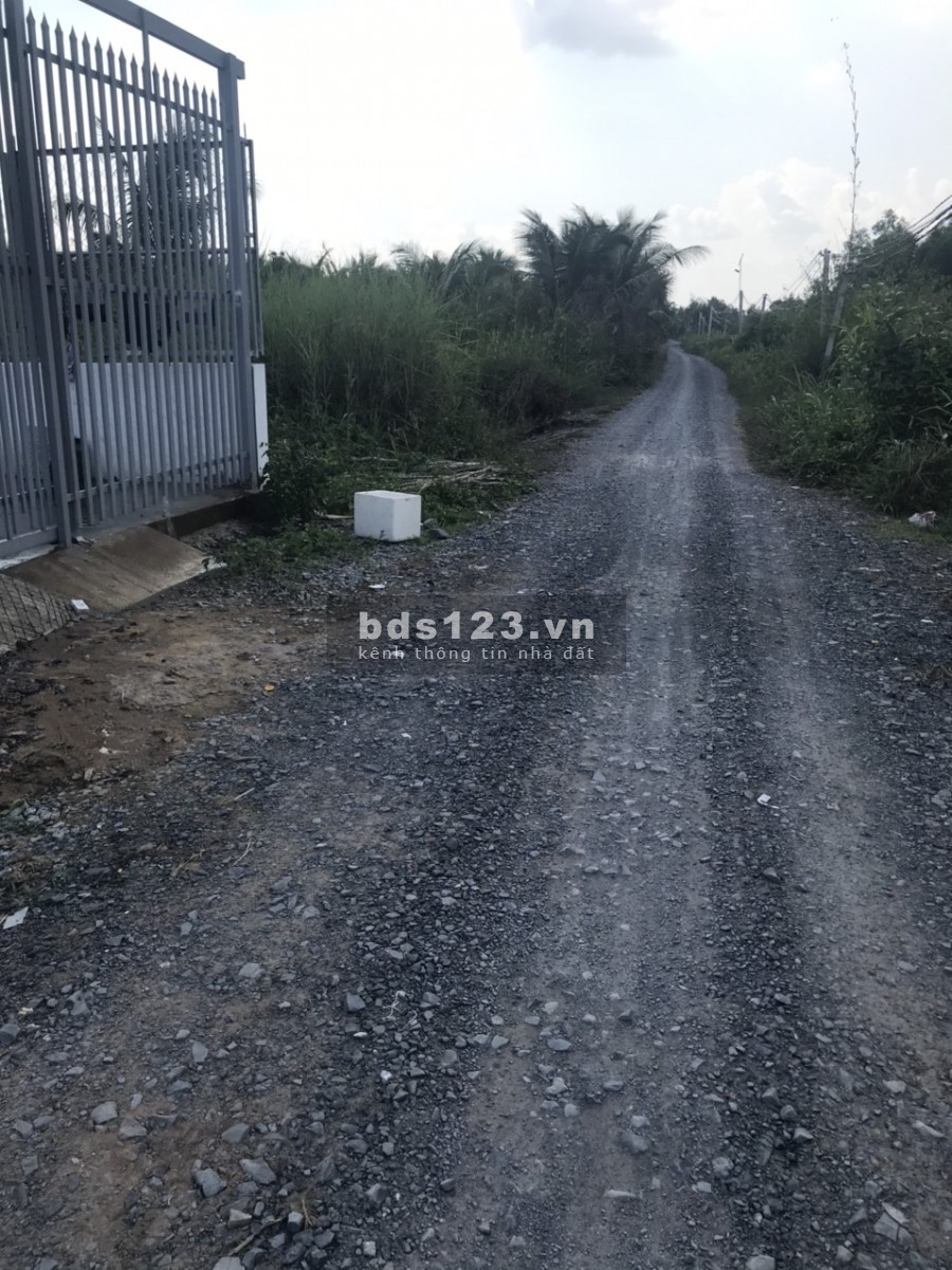 Cần bán gấp 01 lô đất ở Đức Hòa, Long An, diện tích rộng 100m2, thổ cư full