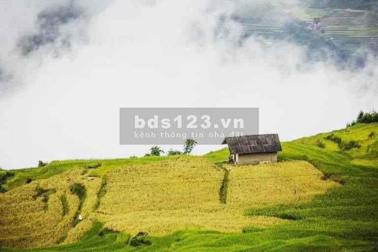 Đất nền Sapa 2 du lịch nghỉ dưỡng 4 mùa, giá hấp dẫn mùa Covit