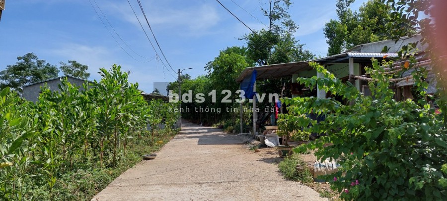 Đất xây nhà vườn đẹp gần UBND xã, chợ giá 1.55 tỷ, diện tích sử dụng 425m2