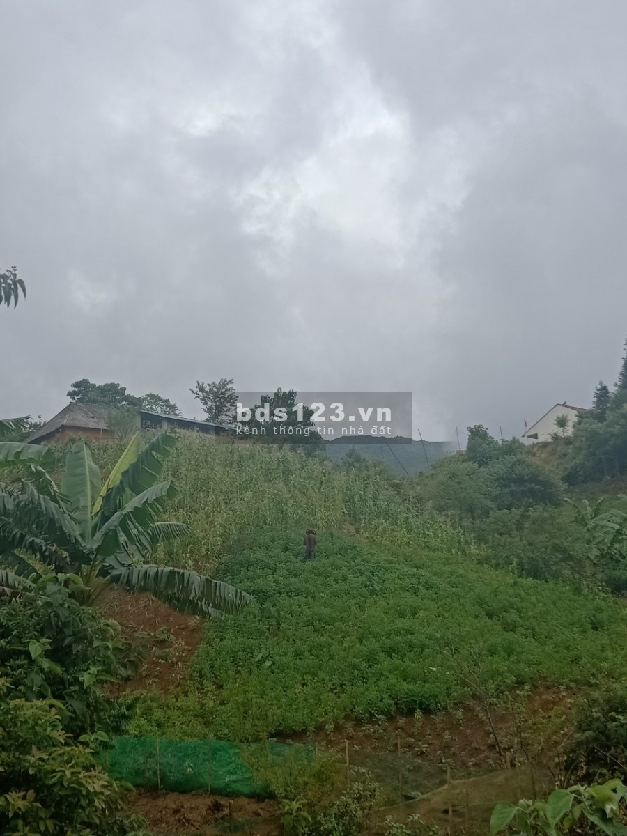 Bán mảnh đất du lịch SAPA (2) giá đầu tư view đẹp giáp suối, giá thoả thuận
