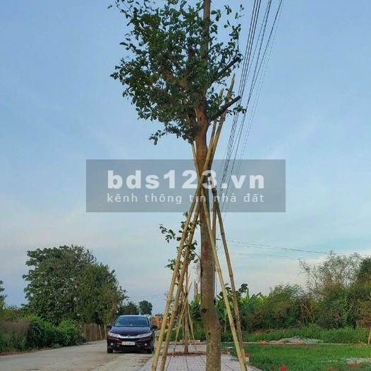 Cách hồ Châu Pha chỉ 200m, khí hậu thoáng mát, dân cư đông đúc