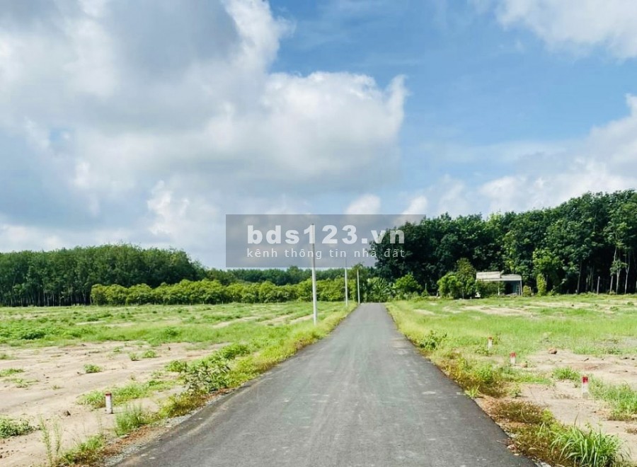 Nơi đây rất thu hút các Doanh nghiệp về đây xây dựng các…