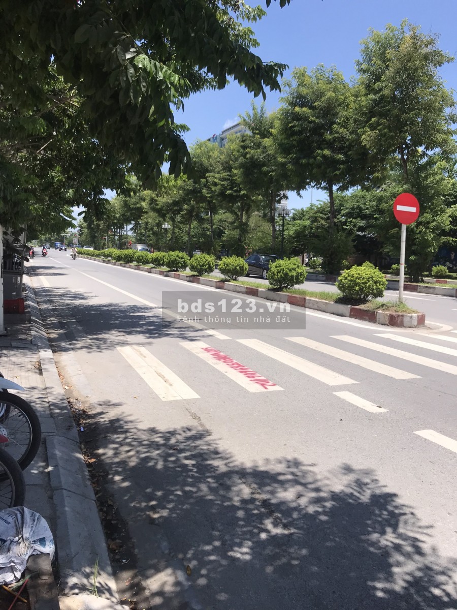 Bán đất phố Thị Cấm giá rẻ chỉ đầu 1 tỷ hơn liên hệ chính chủ 0962157266