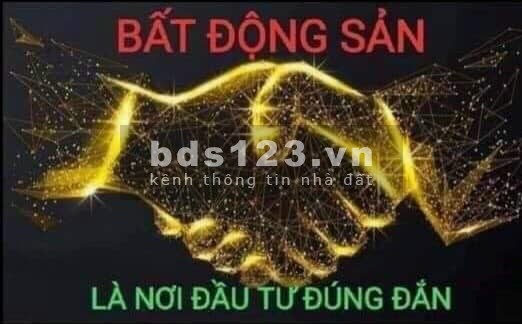 Bán đất ở lâu dài tại New City Phố Nối Hưng Yên diện tích 100m2, giá 12 triệu/m2