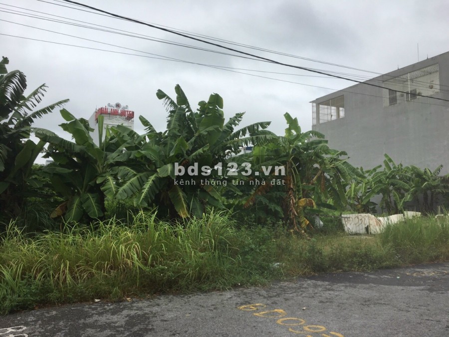 Bán lô đất tuyến 2 Đường Máng Bãi Huyện Vân Tra An Đồng An Dương Hải Phòng