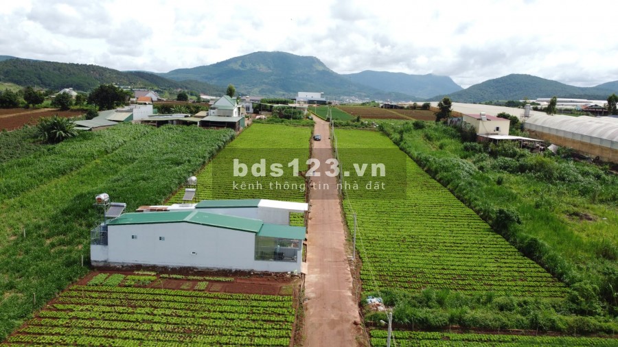 Đất nền Đông Thanh 250 m2 629 triệu đường oto 4m, view đồi nghĩ dưỡng.