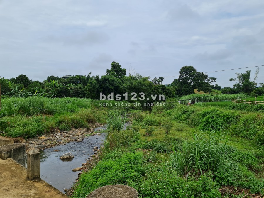 4000m2 có 400m thổ cư, Đông Phong Cao Phong Hoà Bình, giá siêu đầu tư chỉ vài trăm triệu