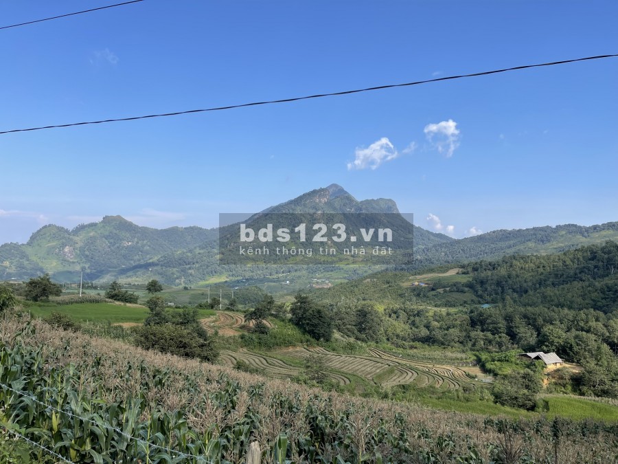 Bán Đất Y Tý cận thị, cận lộ, cận hồ 22ha đón đầu quy hoạch.0822356688