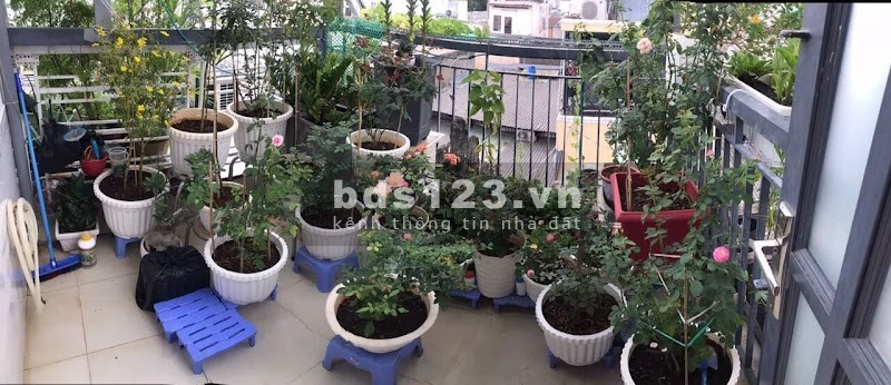 Nhà đường Vườn Lài, Quận Tân Phú diện tích 23m2, 2 phòng ngủ, giá 3,8 tỷ
