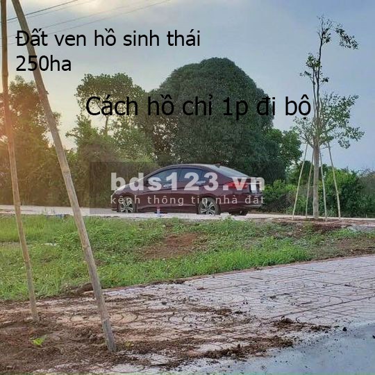 Cách hồ Châu Pha chỉ 200m, khí hậu thoáng mát, dân cư đông đúc