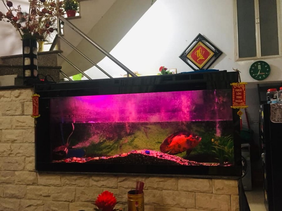 Bán nhà hẻm xe hơi đường Lê Văn. Lương, Tân Quận 7, dt 50m2, đúc 2 tầng giá 3.95tỷ