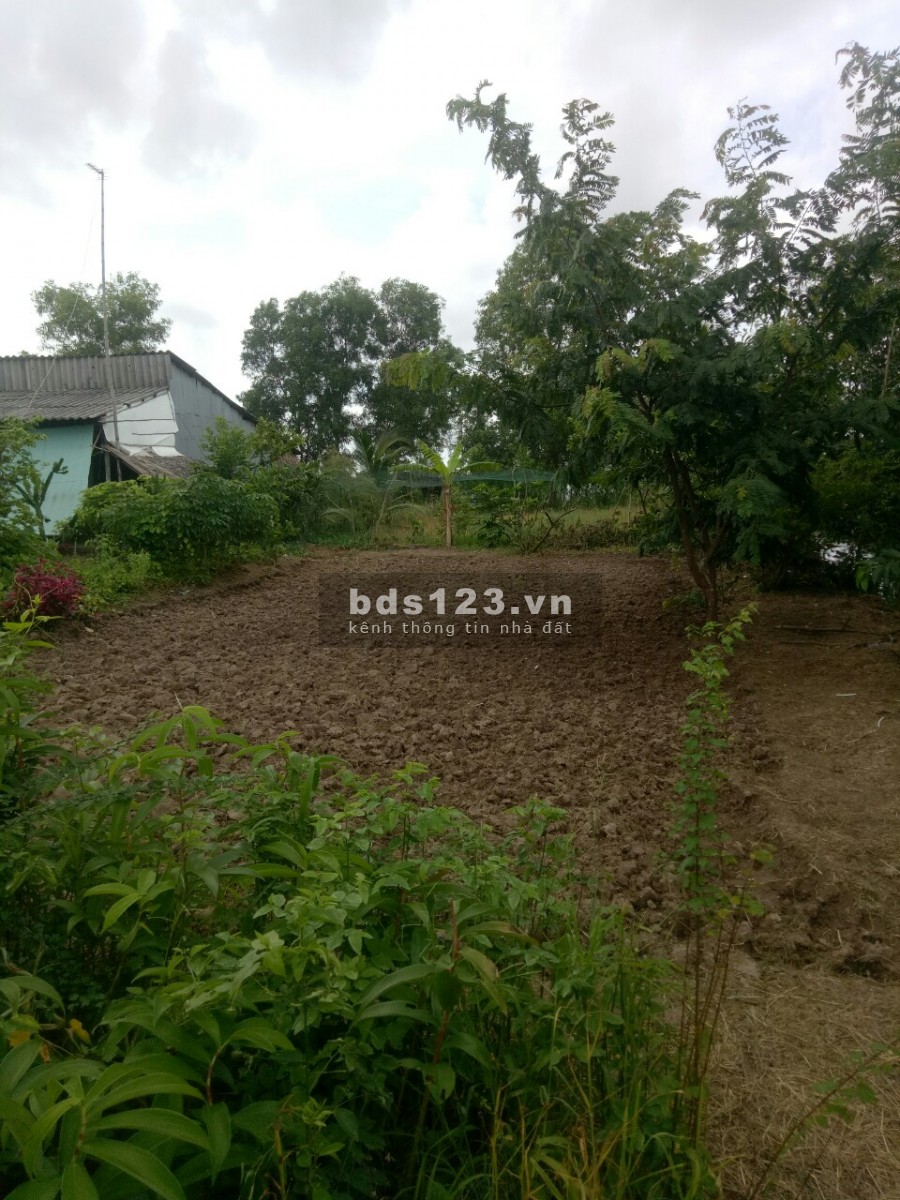 Mã tin 512 - Đất Vuông tại Huyện U Minh, sổ đỏ, đất không tranh chấp, giá 560 triệu