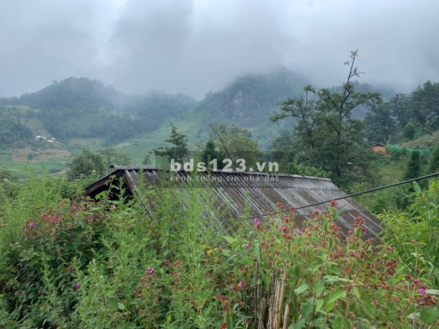 Lô đất 900m2 gần hồ điều hòa 22 ha tại Sapa 2 – Y Tý giá hấp dẫn cho nhà đầu tư