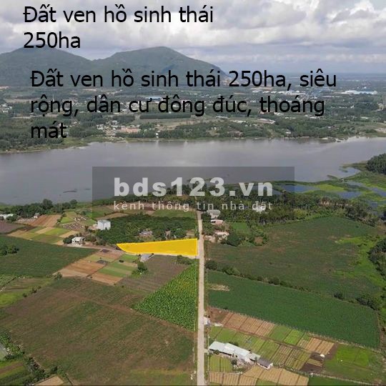 Cách hồ Châu Pha chỉ 200m, khí hậu thoáng mát, dân cư đông đúc